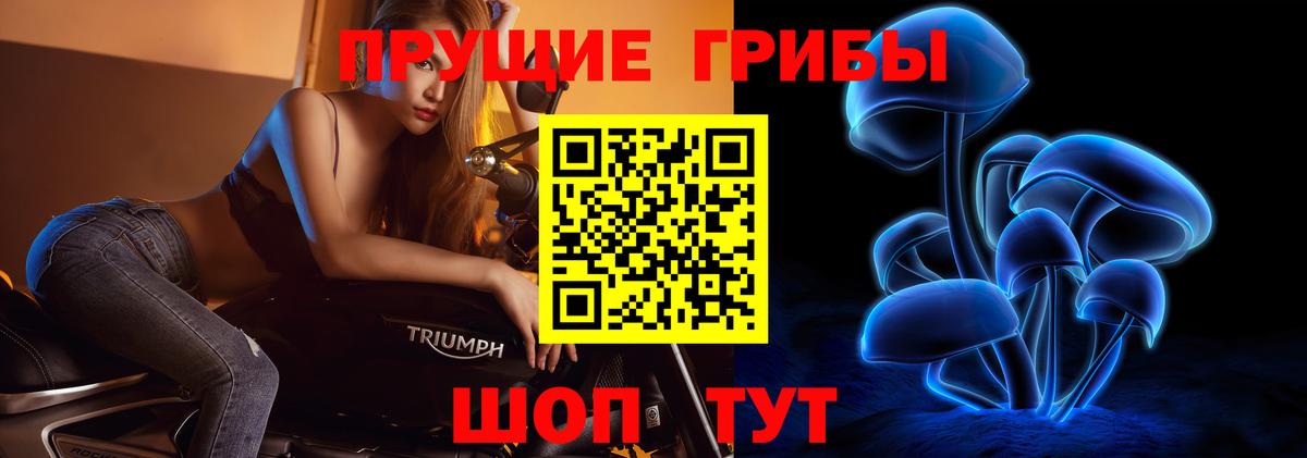 Кызыл  Галлюциногенные грибы мицелий  Вход с VPN  Псилоцибиновые грибы мицелий 